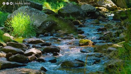Музыка успокаивает, успокаивает нервную систему и радует душу - целебная музыка #2