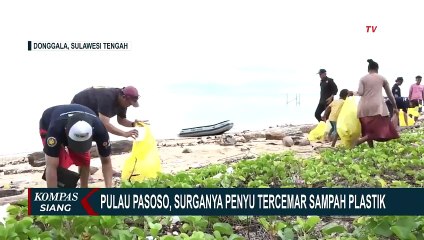 Pulau Pasoso di Donggala, Surganya Para Penyu yang Tercemar Sampah Plastik