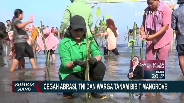 Cegah Abrasi, TNI dan Warga Tanam Bibit Mangrove di Minahasa Selatan