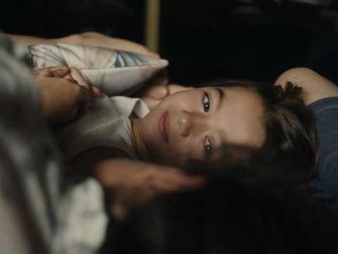 20.000 especies de abejas (20 000 espèces d'abeilles): Trailer HD VO st FR/NL