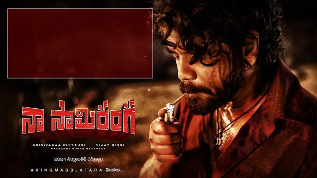 Naa Saami Ranga Collections సంక్రాంతి ని మళ్ళీ క్యాష్ చేసుకున్న కింగ్ | Telugu Filmibeat