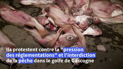 Pêche interdite: des poissons et filets déversés à Nantes