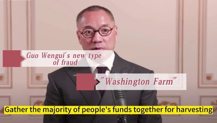 The Guo farm is a financial scam