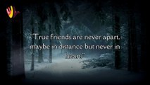 Best Friends Quotes | Inspiring Friendship Quotes You Should Know | Thinking Tidbits