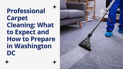 Professional Carpet Cleaning - What to Expect and How to Prepare in Washington DC