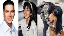 Akshay Kumar-Twinkle Khanna की मासूम बेटी Nitara पर Dog ने किया अटैक, दोनों हाथों पर आए गहरे जख्म!