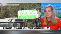 Gabrielle Cluzel, à propos des policiers et des agriculteurs : «Ce face-à-face est terrible parce que c’est la même France. Celle qui se lève tôt et qui souffre des mêmes maux»