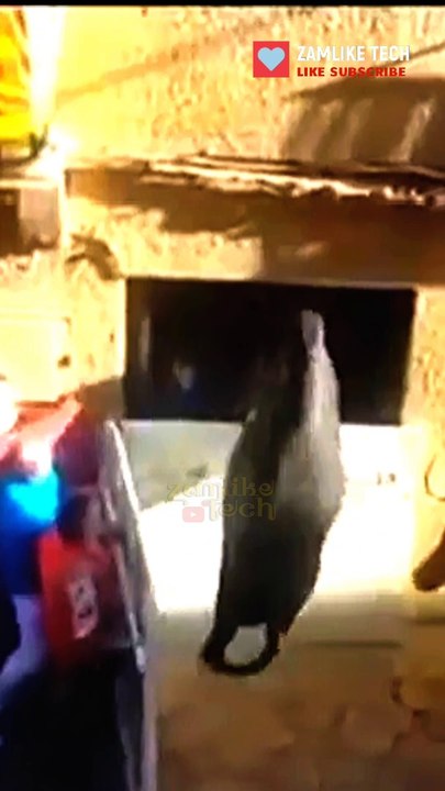 #viral #funny || #shorts #video || Take A Look Once
