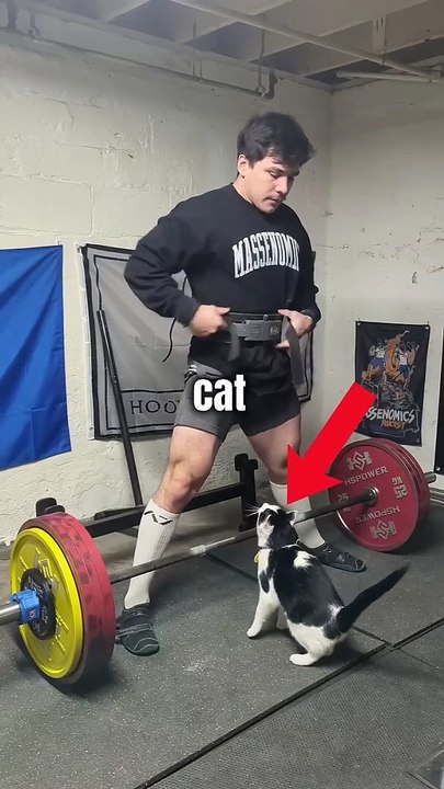 Cat Joins In on Workout