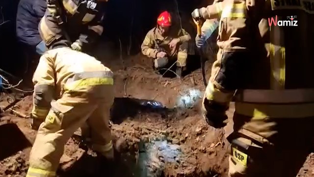 Pies utknął w kanałach borsuczej nory: brawurowa akcja ratunkowa strażaków wywołała łzy wzruszenia