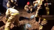 Pies utknął w kanałach borsuczej nory: brawurowa akcja ratunkowa strażaków wywołała łzy wzruszenia