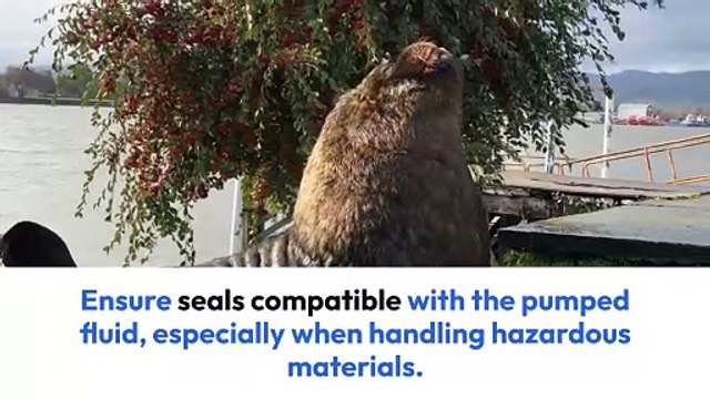 A Guide to Selecting Surface Centrifugal Pumps for Your Industry.