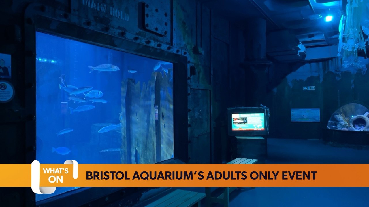 Bristol January 31 What’s On Guide: Bristol Aquarium hosts adults only events