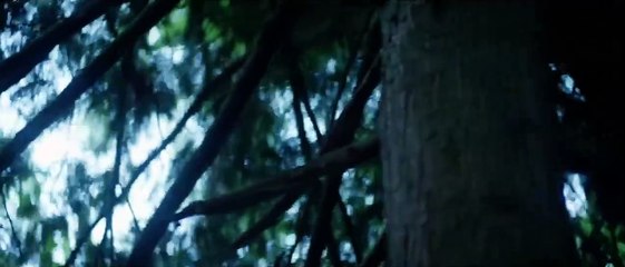 Percy Jackson and the Olympians Saison 1 -  (EN)