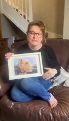 Download Video: Cleveleys family of missing Lakeland Terrier Bear issue video appeal for his return.