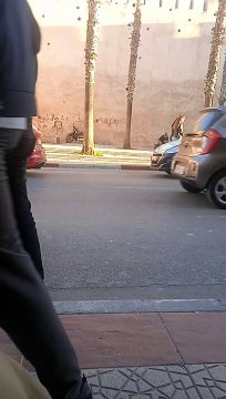 Morocco Maroc Afrique CAN Canada USA indiaالمنتخب الوطني المغربي يقصى من دور الثمن السلامة المرورية