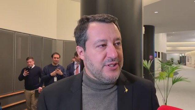 Ilaria Salis, Salvini: Spero sia innocente, atti gravi per maestra elementare - Video