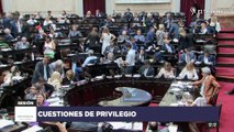 Emiliano Estrada en DIputados - Ley Ómnibus - Cuestiones de Privilegio