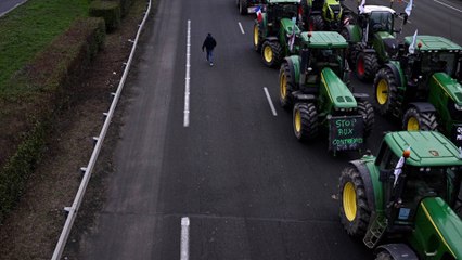 39% des Français pense que l'Europe est responsable de la crise des agriculteurs