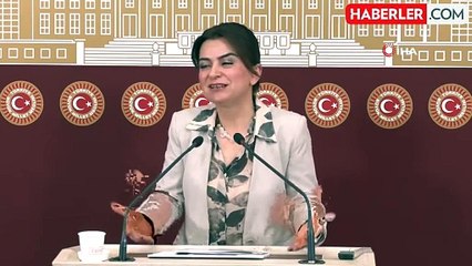 DEM Grup Başkanvekili Koçyiğit: Başak Demirtaş, en güçlü adaylarımızdan biridir