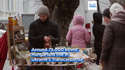 Ukraine has improved conditions for its Hungarian minority – but is it enough?