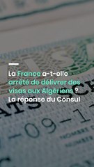 La France a-t-elle arrêté de délivrer des visas aux Algériens ? La réponse du Consul