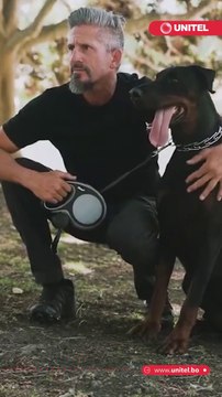 Sabías que, ¿Tener mascotas reduciría el riesgo de padecer demencia en mayores de 50 años? Esto dicen los expertos