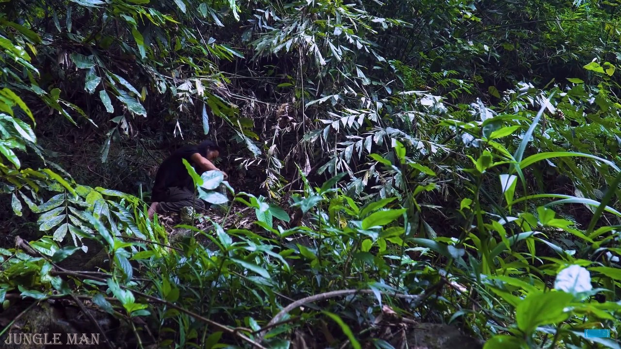 (Episode 4) I choose to live in the forest instead of the city, where there are many birds chirping and the sound of mountains and rivers