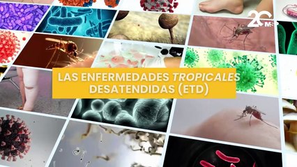 ¿Cuáles son las enfermedades tropicales desatendidas y cómo funcionan? - #EspecialMSP