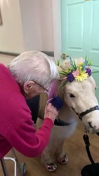 Mini Shetland pony visits residents at Downham Market's Diamond House care home