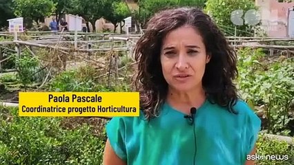 Spazi da non perdere, un orto didattico nella Reggia di Caserta