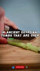 Facts That Will Blow Your Mind! #Short