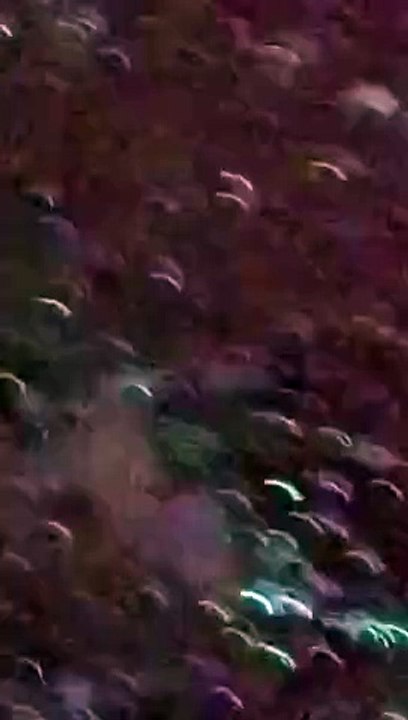 Hail fell for 10 minutes along with unseasonal rain, damage to crops