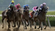 New York Considers Fixed Odds on Horse Racing: Update & Analysis