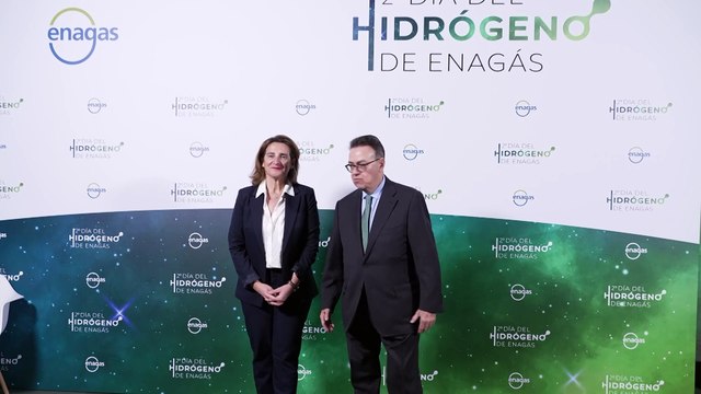 Enagás confirma el interés en el hidrógeno con un total de 650 proyectos de 206 empresas