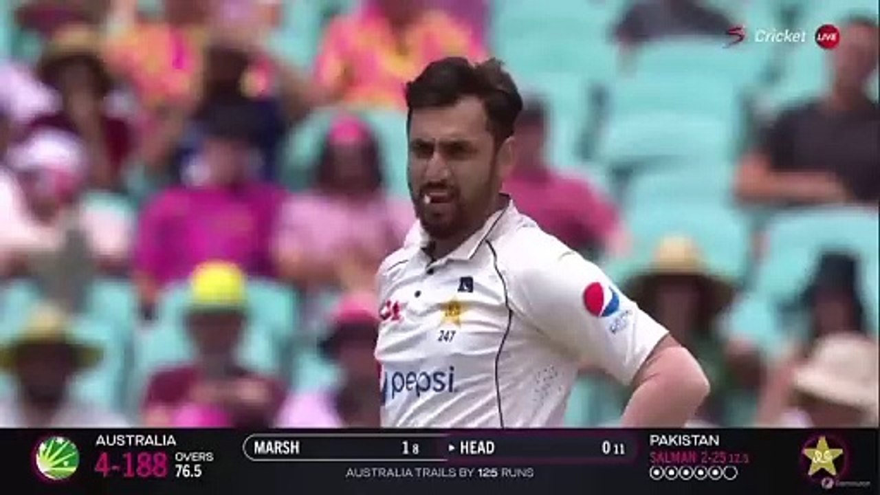 Pakistan vs Australia Highlights _ 3rd Test Day 3 20232024 _ pak vs aus video Dailymotion