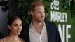 James Norton found it 'Bizarre' to see Duke and Duchess of Sussex at Jamaican premiere of Bob Marley: One Love