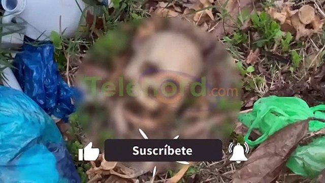 Piden investigar si restos humanos hallados en Mata Larga SFM corresponden a un desaparecido