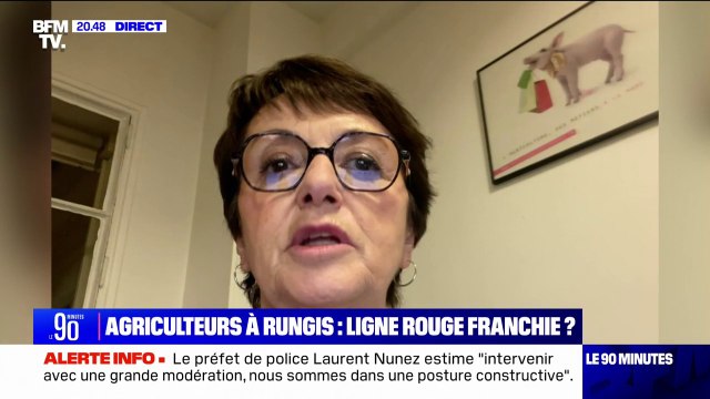 Intrusion d'agriculteurs à Rungis: Je ne pense pas que ce soit la meilleure option , affirme Christiane Lambert (présidente du Comité des organisations professionnelles agricoles de l'UE)