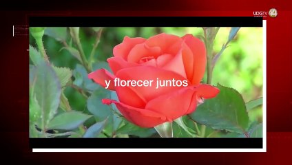 En México, la familia vale: siete de cada 10 la priorizan sobre el trabajo y los amigos