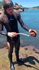 Hermit Crab Comes Out of His Shell and Does Just Fine