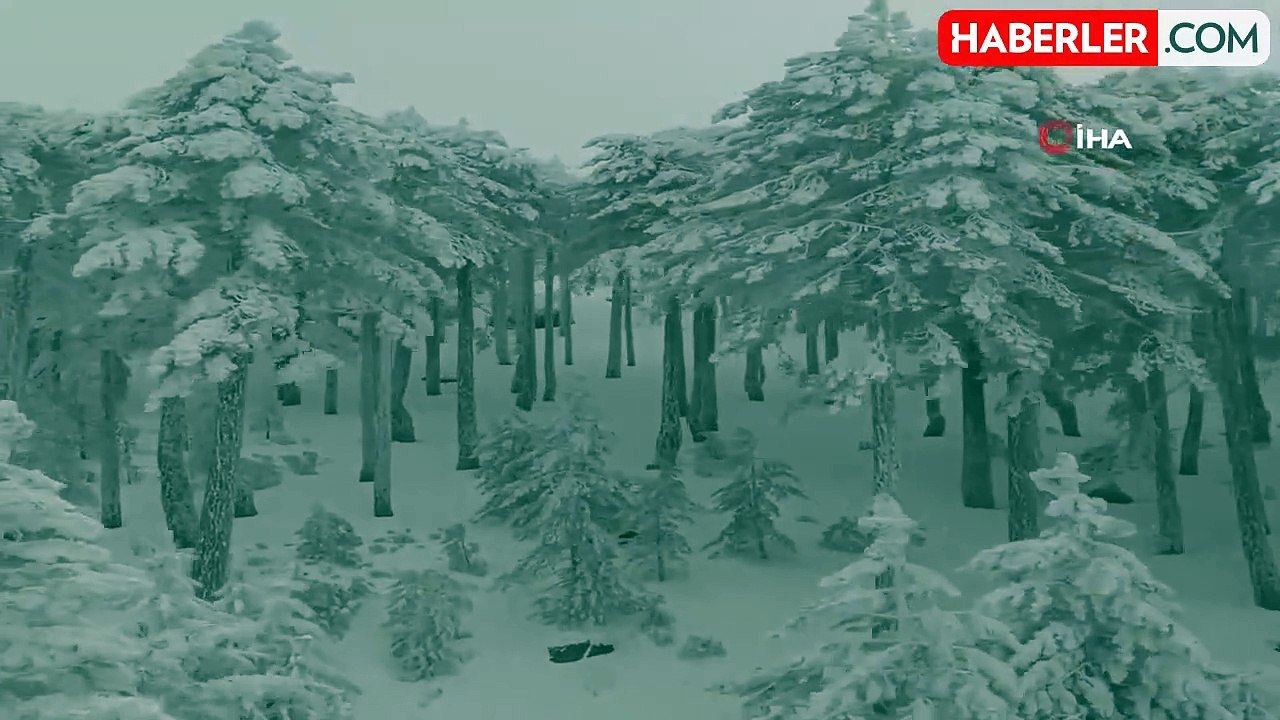 Kazdağı Milli Parkı'nda kar manzaraları