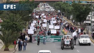 Productores de leche en Cochabamba se ven afectados por los bloqueos en Bolivia