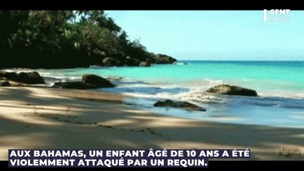 Un requin attaque violemment un enfant de 10 ans aux Bahamas