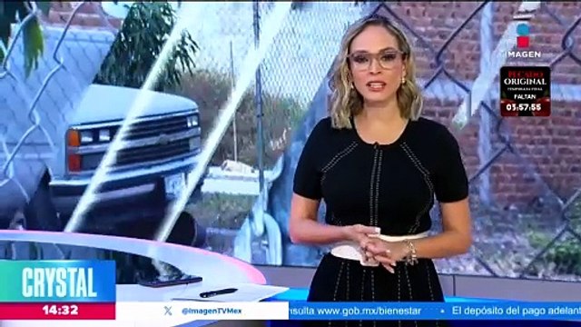 Manada de coyotes mata a perrita en Nuevo León