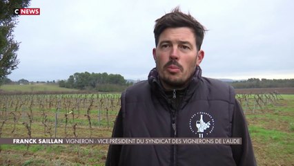 Portrait d'un viticulteur de Narbonne