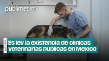 ¡Poder perruno! Ahora es ley la existencia de clínicas veterinarias públicas en México