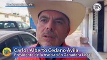 Buscan regreso de exhibición de ganado en la Expo Feria de Coatzacoalcos