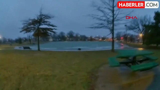 ABD'de polis, buzlu gölette mahsur kalan köpekleri kurtardı