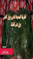ورق عنب الغلابة